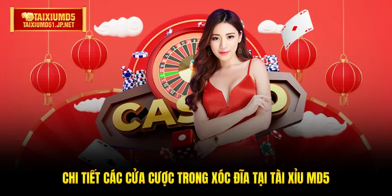 Chi tiết các cửa cược trong Xóc Đĩa tại Tài Xỉu MD5 Chi tiết các cửa cược trong Xóc Đĩa tại Tài Xỉu MD5